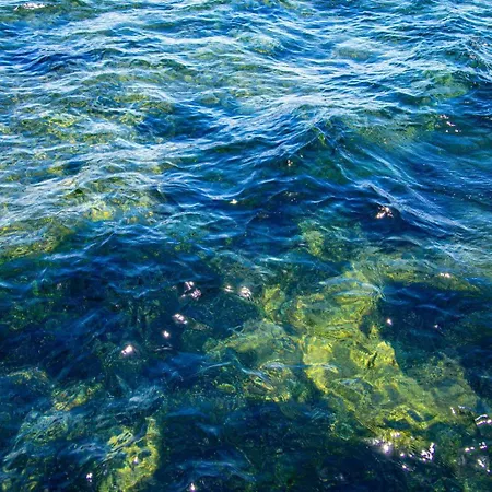 Bodrum Linos On The Water Tatil Evi Turgutreis